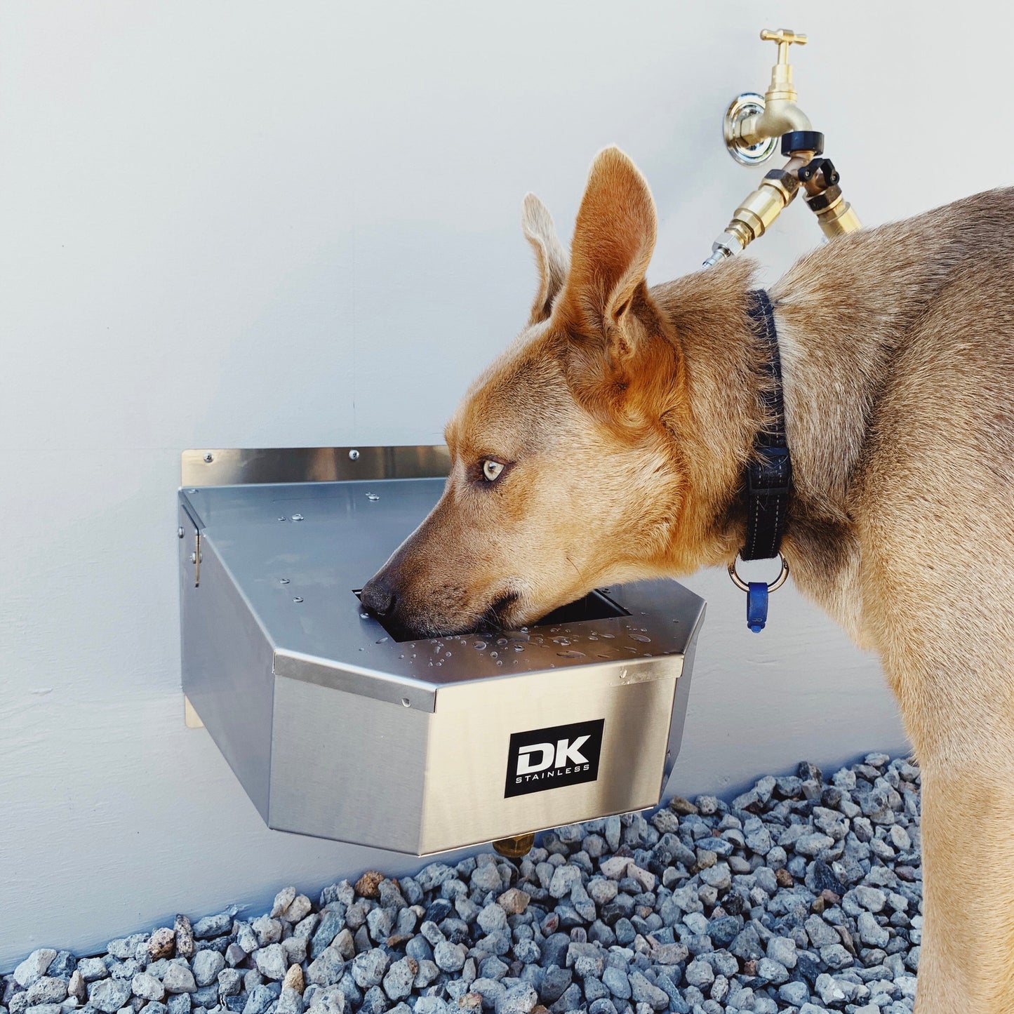 Pet Rehydration Station Lids