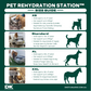 Pet Rehydration Station